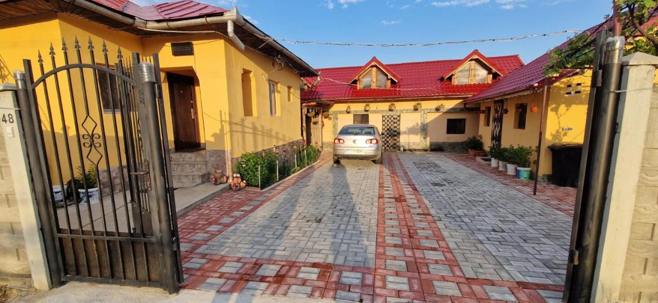 Pensiunea Casa Andreea Novaci-Străini Exterior foto